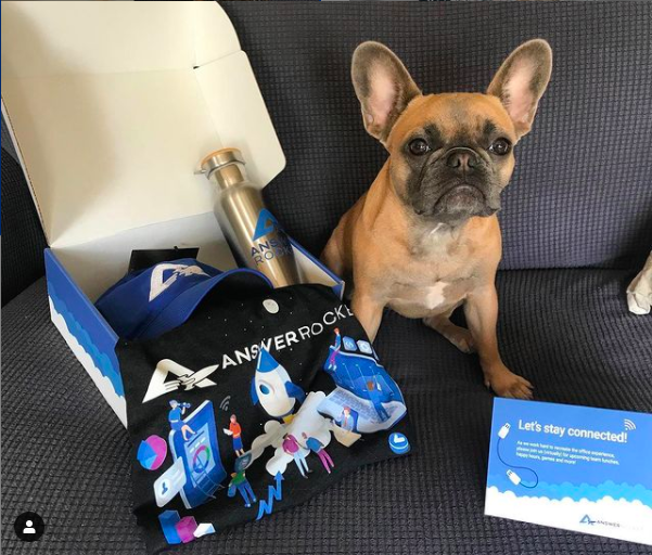 CHARLIE, THE FRENCHIE, (NOT INCLUDED IN THE SWAG PACKAGE) SHOWS OFF ANSWERROCKET MERCH.